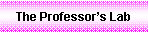Text Box: The Professor�s Lab